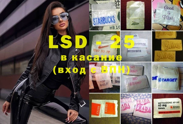 ГАЛЛЮЦИНОГЕННЫЕ ГРИБЫ Костерёво
