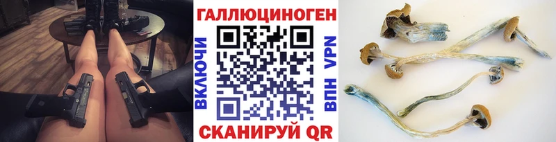 Псилоцибиновые грибы Psilocybe  Купить где  Велиж 
